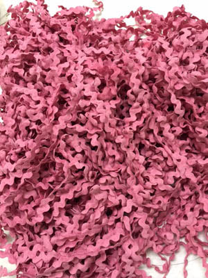 Lady Dot Creates - Peony Baby Rick Rack Trim