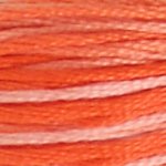 DMC Stranded Cotton - 0106 Variegated