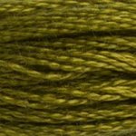 DMC Stranded Cotton - 0732 Olive Green