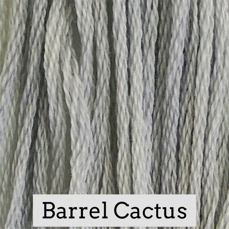 Classic Colorworks - Barrel Cactus