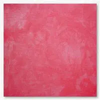 36 Count Ember Picture This Plus