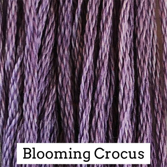Classic Colorworks - Blooming Crocus
