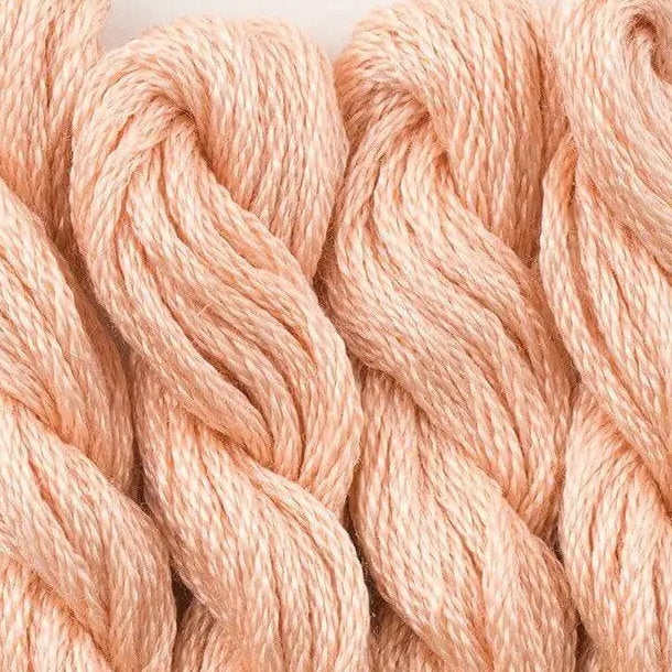Needlepoint Inc. Silk - NPI 531 Salmon Range