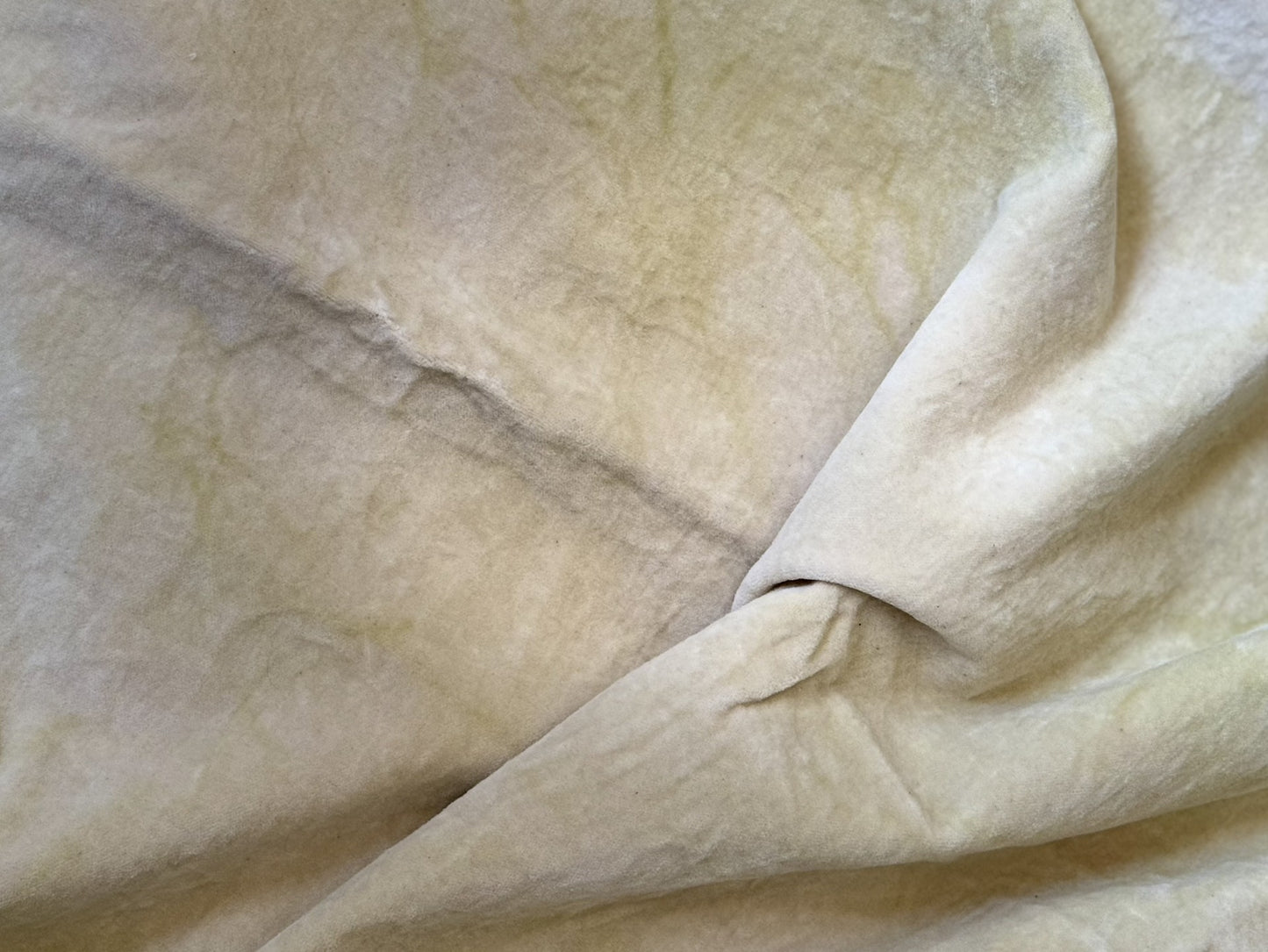 Fiddlestix Designs - Parsnip Hand-dyed 100% Organic Cotton Velvet Fabric