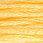 DMC Stranded Cotton - 0019 Medium Light Autumn Gold