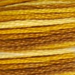 DMC Stranded Cotton - 0111 Variegated
