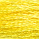 DMC Stranded Cotton - 0307 Lemon