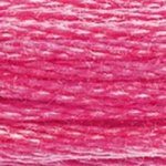 DMC Stranded Cotton - 0602 Cranberry Medium