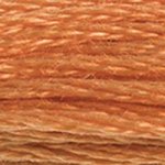 DMC Stranded Cotton - 0721 Orange Spice Medium