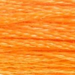 DMC Stranded Cotton - 0741 Tangerine Medium
