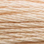DMC Stranded Cotton - 0945 Tawny