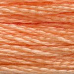 DMC Stranded Cotton - 3825 Pumpkin Pale