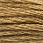 DMC Stranded Cotton - 3828 Hazelnut Brown