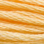 DMC Stranded Cotton - 3855 Autumn Gold Light