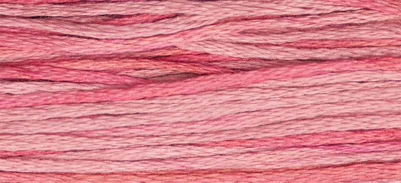 Weeks Dye Works - Camellia 2276
